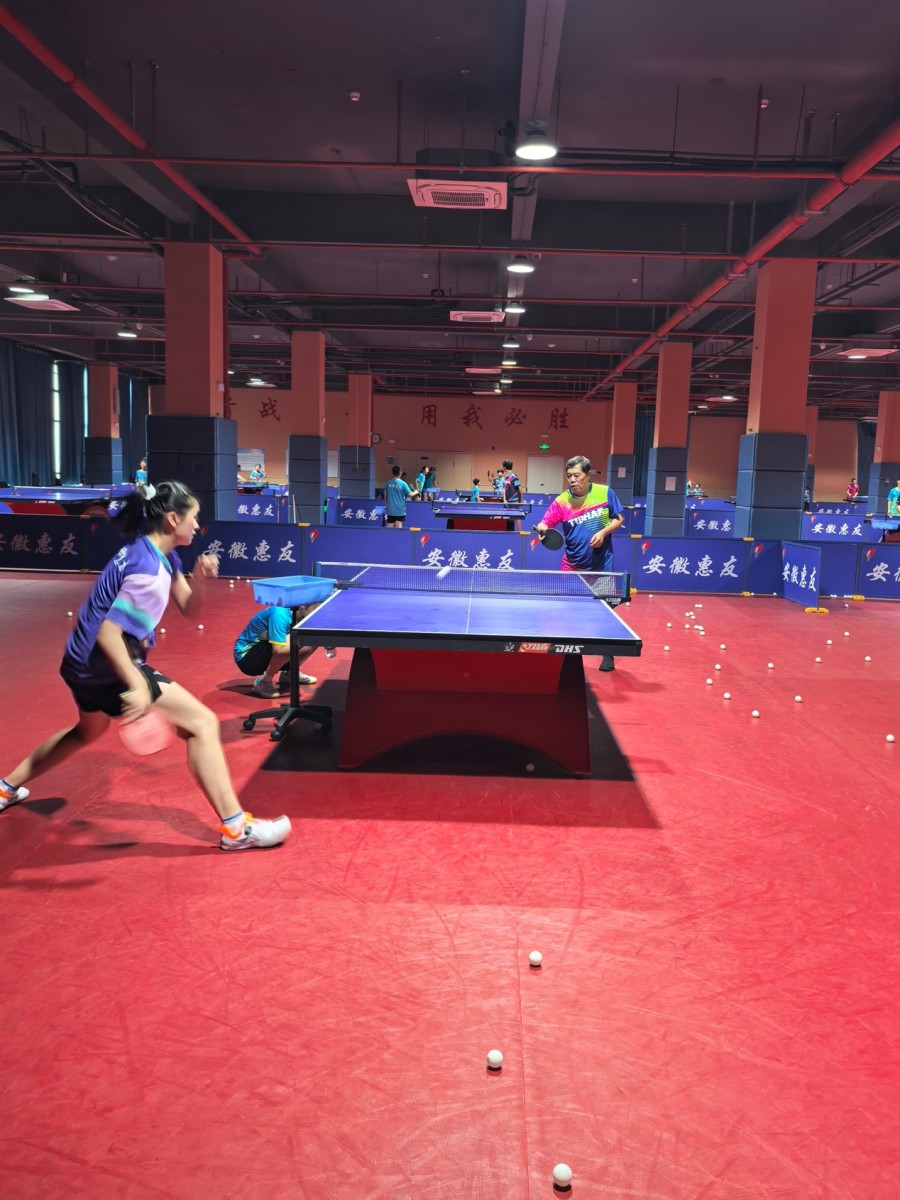 乒乓培训